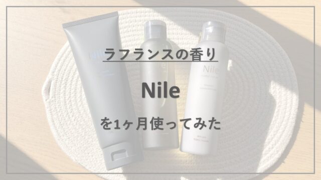 「怪しい」という噂もある『Nile 洗顔料・化粧水・乳液』を1ヶ月使ってみた