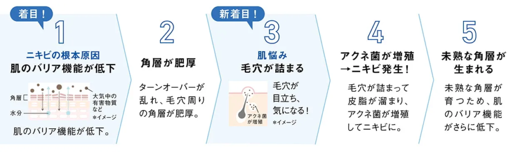 オルビスクリアフル ニキビができるまでの流れ